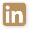Logo Linkedin